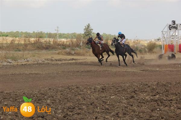 khoyoul lud 0610 (74).JPG